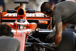 Stoffel Vandoorne, McLaren MCL32