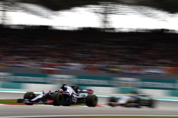 Pierre Gasly, Scuderia Toro Rosso STR12