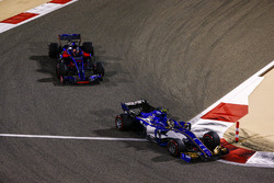 Pascal Wehrlein, Sauber C36-Ferrari, Daniil Kvyat, Scuderia Toro Rosso STR12