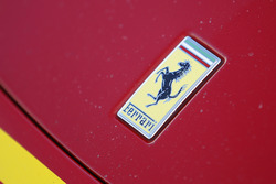 Ferrari detail