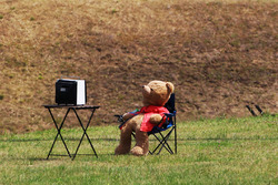 Ein Teddybär verfolgt das Training der Formel 1 im Fernsehen
