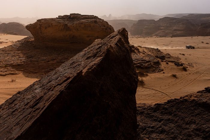 #226 Ford M-Sport Ford: Mattias Ekstrom, Emil Bergkvist