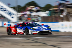 #67 Ford Performance Chip Ganassi Racing Ford GT: Ryan Briscoe, Richard Westbrook, Scott Dixon
