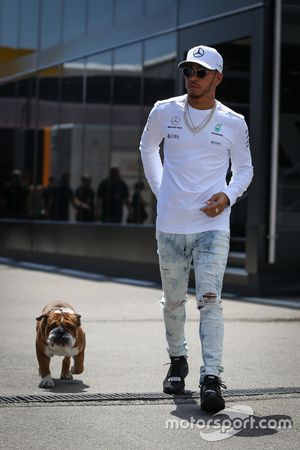 Lewis Hamilton, Mercedes AMG F1 con su perro Roscoe