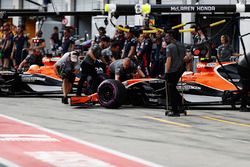 Fernando Alonso, McLaren MCL32, Stoffel Vandoorne, McLaren MCL32,