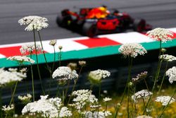 Daniel Ricciardo, Red Bull Racing RB13