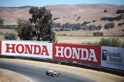 Alexander Rossi, Herta - Andretti Autosport Honda