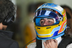 Fernando Alonso, McLaren