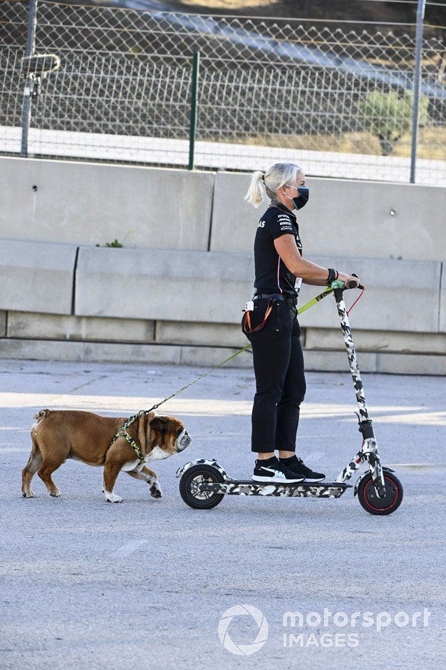 Angela Cullen, fisio de Lewis Hamilton, con el perro del piloto