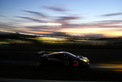 #49 Vicious Rumour Racing Ferrari 458 Italia GT3: Tony Defelice, Andrea Montermini, Benny Simonsen,
