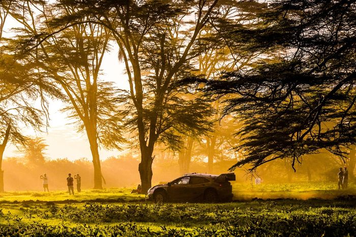 Jon Armstrong, Shane Byrne, M-Sport Ford World Rally Team Ford Puma Rally1