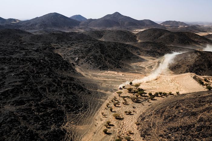 #204 Toyota Gazoo Racing W2Rc Toyota: Toby Price, Armand Monleon