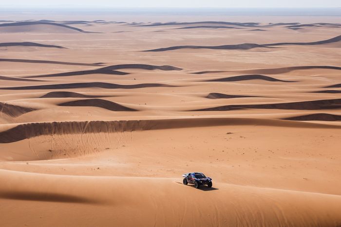 #226 Ford M-Sport Ford: Mattias Ekstrom, Emil Bergkvist