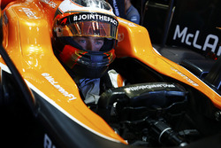 Стоффель Вандорн, McLaren