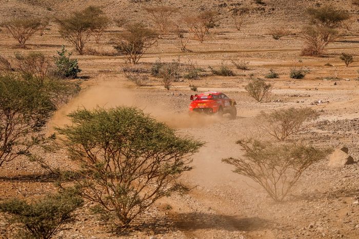 #311 Bahrain Raid Xtreme Hunter: Nani Roma, Alex Winocq