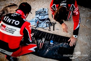 #310 Toyota Gazoo Racing: Fernando Alonso