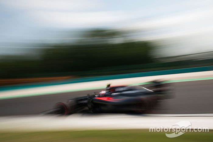 Jenson Button, McLaren MP4-31