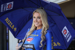 Grid girl