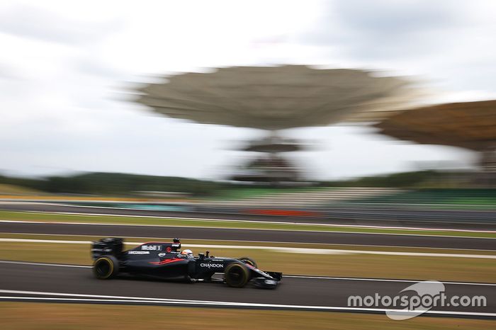 Fernando Alonso, McLaren MP4-31