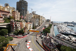 Jenson Button, McLaren MP4-31