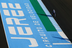 Alex Lowes, Pata Yamaha