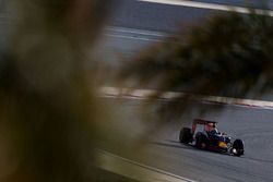 Daniel Ricciardo, Red Bull Racing RB12
