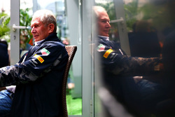Helmut Marko, Red Bull Racing, Berater