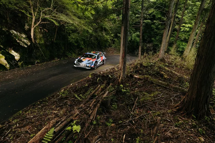 Thierry Neuville, Martijn Wydaeghe, Hyundai World Rally Team, Hyundai i20 N Rally1