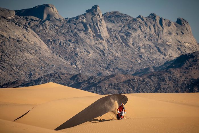 #90 Tech 3 KTM Factory Racing: Danilo Petrucci