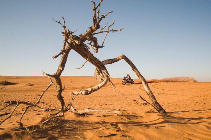 #47 Red Bull KTM Factory Racing: Kevin Benavides