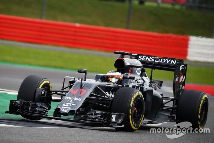 Stoffel Vandoorne, McLaren MP4-31 piloto de prueba y reserva