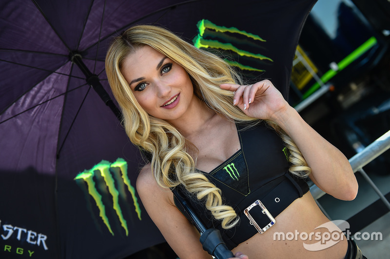 Monster Energy grid girl