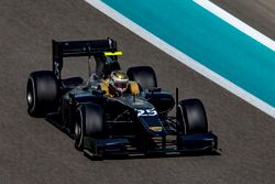 Sean Gelael, Arden International