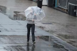Lluvia en el  paddock