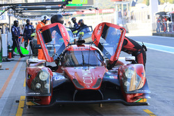 #43 RGR Sport by Morand Ligier JSP2 - Nissan: Рікардо Гонсалес, Філіпе Альбукерке