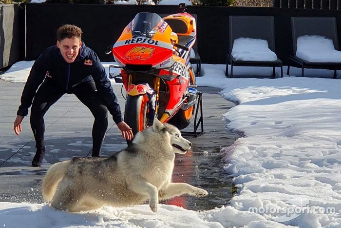 Pol Espargaró, Repsol Honda  Team
