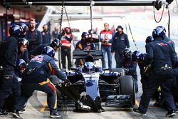 Max Verstappen, Scuderia Toro Rosso STR11