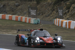 #24 Oak Racing Ligier JSP3 - Nissan: Жак Ніколе, П'єр Ніколе