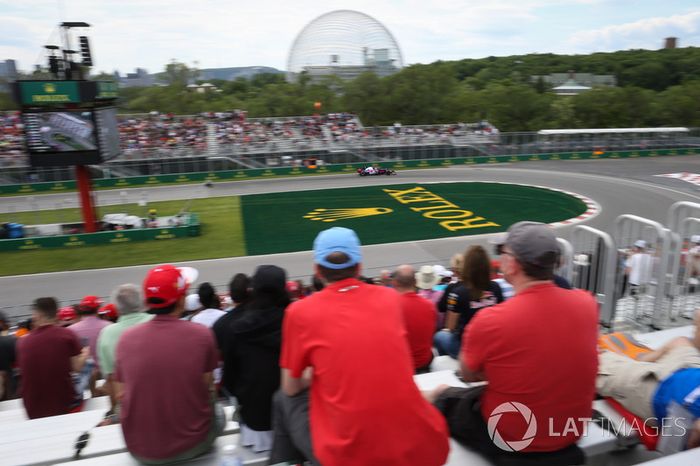 Carlos Sainz Jr., Scuderia Toro Rosso STR12
