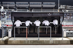 Команда Mercedes