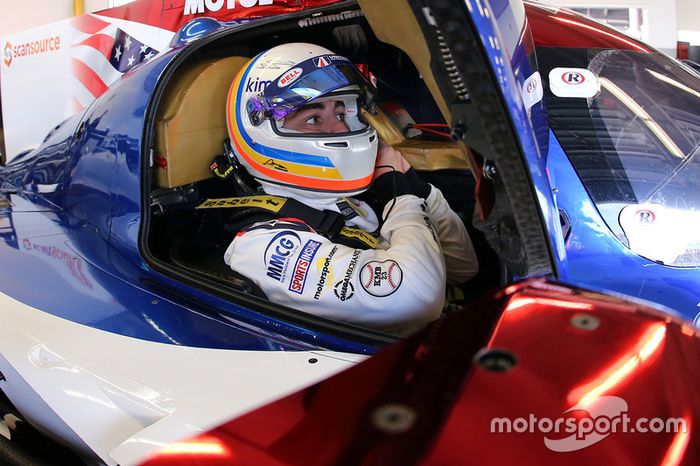 Fernando Alonso, United Autosports