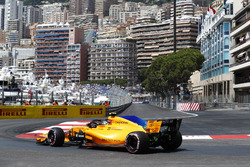 Стоффель Вандорн, McLaren MCL33