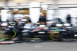 Fernando Alonso, McLaren MP4-31