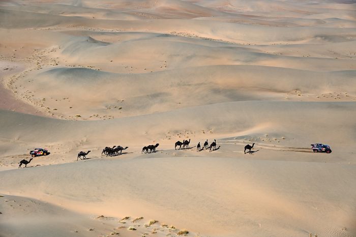 #225 Ford M-Sport Ford: Carlos Sainz, Lucas Cruz, #204 Toyota Gazoo Racing Toyota: Seth Quintero, Dennis Zenz