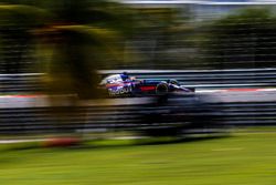 Pierre Gasly, Scuderia Toro Rosso STR12