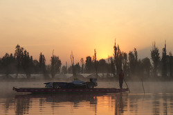 Esibizione Formula E a Xochimilco