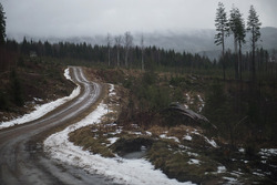 Teil der Rallyestrecke