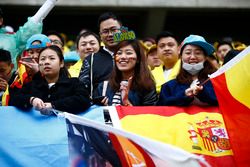 Fans of Fernando Alonso, McLaren