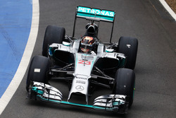 Pascal Wehrlein, Mercedes AMG F1 W05 Hybrid, Testfahrer