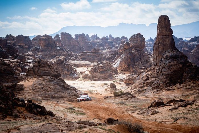 #207 Team Audi Sport Audi: Carlos Sainz Sr, Lucas Cruz 